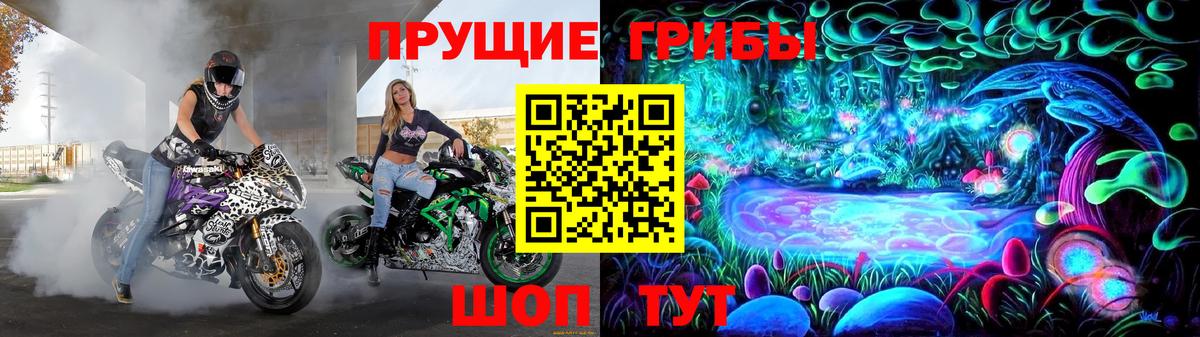 Ирбит  Галлюциногенные грибы MAGIC MUSHROOMS  Вход с VPN  Галлюциногенные грибы MAGIC MUSHROOMS 